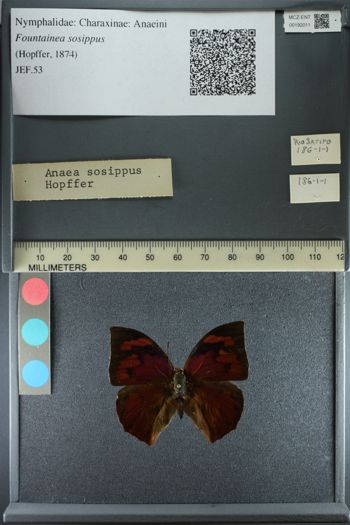Media type: image;   Entomology 192011